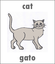 Cat  Flashcard - Spanish Animals Gato