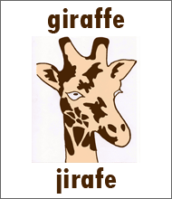 Giraffe Flashcard - Spanish Animals Jirafe