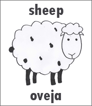 hand drawn picture of a sheep for a Spanish flashcard