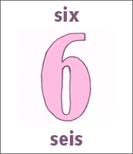 Number 6 Flashcard - Spanish Numbers